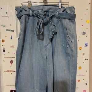 Light Blue Paperbag Aerie Pants